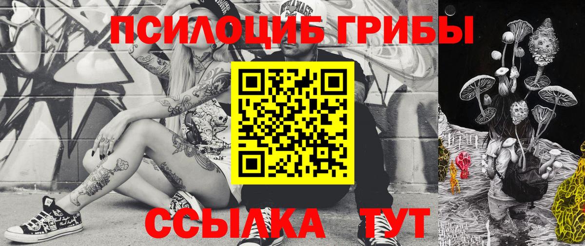 Галлюциногенные грибы Psilocybine cubensis  купить наркотики цена  Горячий Ключ  Вход с VPN 